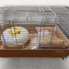 Item thumbnail for item eadf14fe-eff8-4aa3-9e35-4d7549fdf74e