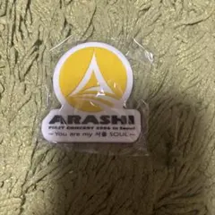 嵐 歴代ライブロゴマグネット カプセル DE ARASHI ソウル Soul - メルカリ