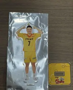 Item thumbnail for item 9c2bb3e6-4032-40e5-8c99-db714d55f177