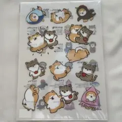 クリアファイル 秋田犬 キャラクター