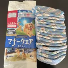 Item thumbnail for item dee439c2-3f0e-454e-8f1e-73a7b04e5d55