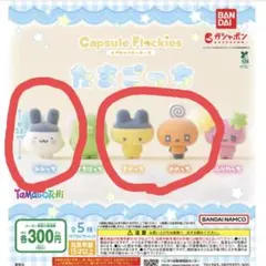 フロッキーズ　たまごっち　みみっち　まめっち　めめっち