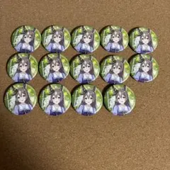 ウマ娘 サトノダイヤモンド 公式缶バッジ 14点