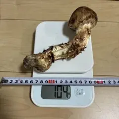 値下げ　長野県信州産　国産松茸　130g 長野県信州産 国産松茸 約130g - メルカリ
