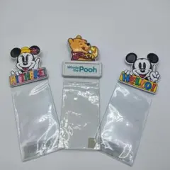 ディズニーランド　チケットホルダー　平成レトロ　3つセット