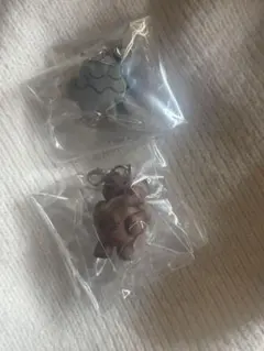 daisuke kondo めじるしアクセサリー　くま　くも