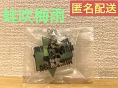 ヒロアカ　ダイカットアクリルチャーム　ガチャガチャ　カプセルトイ　蛙吹梅雨