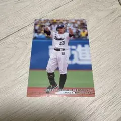 カルビー プロ野球チップス 2024 青木宣親 ヤクルト