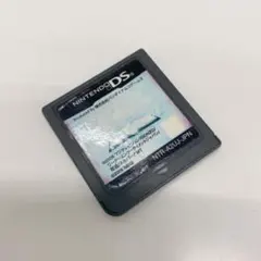 Nintendo DS『ブレイブストーリー ボクのキオクとネガイ』