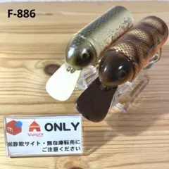［20個セット］へドン　ビックバド系◦トーピード系 20個セット］へドン ビックバド系◦トーピード系 20個セット］へ