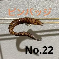 魚ピンバッジ　　　ウツボver