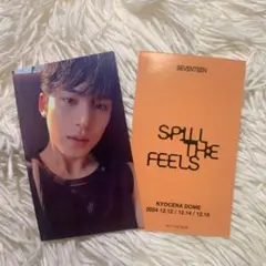 SEVENTEEN 会場限定 トレカ SPILL THE FEELS ミンギュ