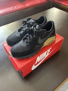 Nike エアマックス エクシー