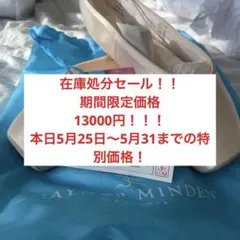 Gaynor Minden トゥシューズ SK-8.5N3SDL - メルカリ