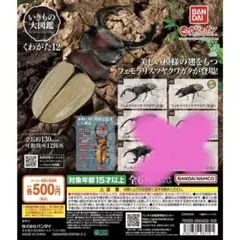 2026年最新】いきもの大図鑑の人気アイテム - メルカリ