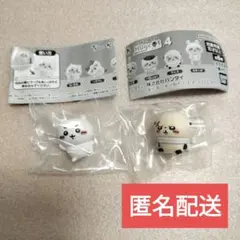 ちいかわ　ケーブルアクセサリー　ハグコット4　ちいかわ　ラッコさん２個セット