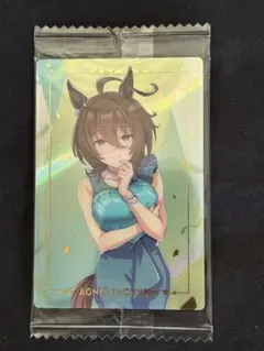 2026年最新】ウマ娘 カード アグネスタキオンの人気アイテム - メルカリ