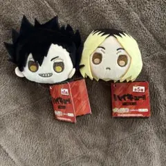 ハイキュー ぴんぐるみ vol.2 2種セット　黒尾鉄朗 孤爪研磨