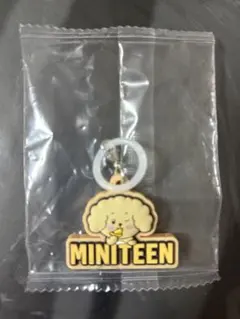 MINITEEN ミニティーン めじるし ガチャガチャ ドア ドギョム DK