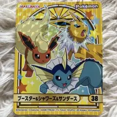 ポケモン【ブースター＆シャワーズ＆サンダース】ポケモンカレー