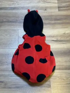 Item thumbnail for item 59b6ad49-f2c8-4acd-8ff7-3b02a439ff7a