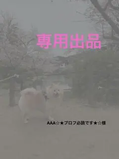 AAA☆★プロフ必読です★☆様専用