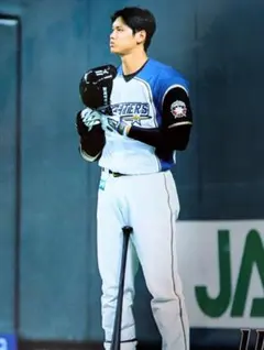 11大谷翔平】北海道日本ハムファイターズ 公式写真2017年10月4日