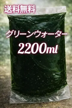 그린 워터 진한 2200ml 송사리 치어 물고기 월동