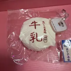 snow cake 牛乳スクイーズ