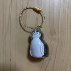 うちのこのけだまだま　猫(ハチワレ)