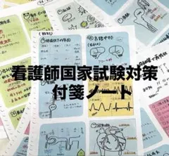 看護師国家試験対策　付箋ノートコピー　ルーズリーフ20枚分（付箋約120枚相当）