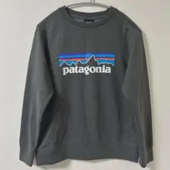 patagonia Up Rise Crew トレーナー Mサイズ ネイビー - メルカリ