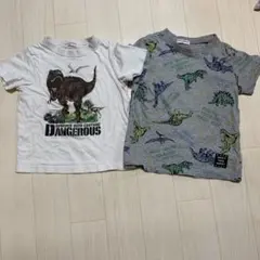 恐竜デザイン Tシャツ 110cm セット