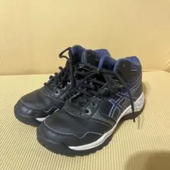 Item thumbnail for item b6d97831-6e93-4880-bd84-aca42a1e6ac3