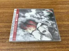 [未開封]　paradox / 相川七瀬
