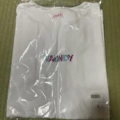 VAUNDY ロゴ Tシャツ Blue×Pink Mサイズ