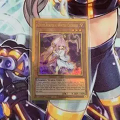 遊戯王 浮幽さくら maximum gold box 1st Edition