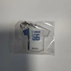 【万波中正】北海道日本ハムファイターズ めじるしアクセサリー