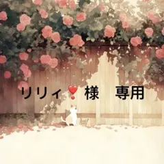 リリィ❣様　専用