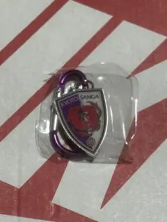 Jリーグ 京都サンガF.C. カラビナ キーホルダー