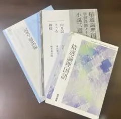 Item thumbnail for item c260d5b5-f639-44bc-860a-1774b4d5f70d