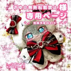 さゆ@無断転載禁止様　専用ページ　リボン　のみ　オーダー　ぬい服