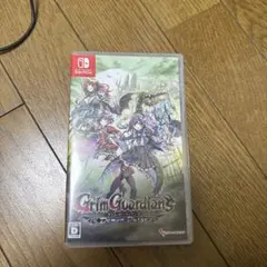 Grim Guardians : Demon Purge 通常版 Switch版