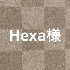 Hexa様 リクエスト 2点 まとめ商品