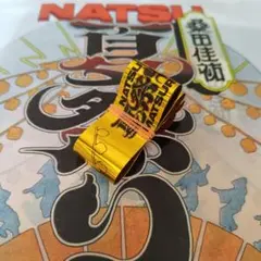 桑田佳祐 ライブ 金テープ 夏祭りツアー