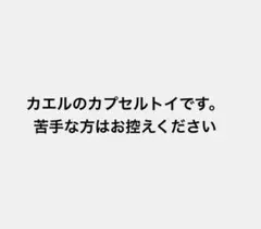 カエル フィギュア ガチャガチャ カプセルトイ 4体セット ミニフィギュア
