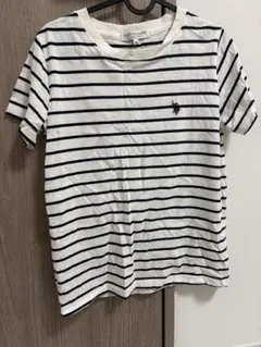 POLO ストライプ半袖Tシャツ M