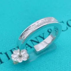Tiffany & Co. ピアス　ナロー　フープ　1837 シルバー　片耳