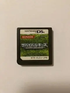 サバイバルキッズ Lost in Blue 2 DS 【ソフトのみ】