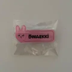 StrayKids チャンビン ネームバッチ skzoo